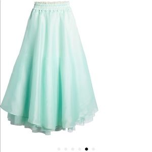 Atlantic Pacific x Halogen Organza Mint Skirt